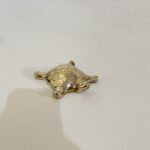 পিতলের পুরনো কচ্ছপ- পলিশ করা- ৩১০ গ্রাম - ৪ ইঞ্চি - Image 2