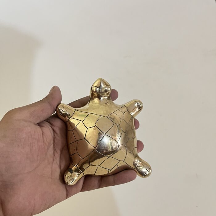 img_7967 পিতলের পুরনো কচ্ছপ- পলিশ করা- ৩১০ গ্রাম - ৪ ইঞ্চি - Image 3