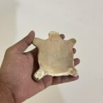 পিতলের পুরনো কচ্ছপ- পলিশ করা- ৩১০ গ্রাম - ৪ ইঞ্চি - Image 4