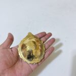 পিতলের প্রদীপ - ৩.৪ ইঞ্চি - ১৫০ গ্রাম - Image 4