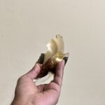 পিতলের মিনা করা বাটি - ৩২০ গ্রাম - ৬ ইঞ্চি - Image 4